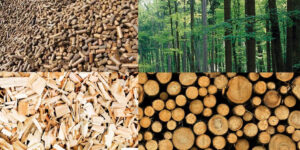 Nuove norme per impianti termici alimentati a biomassa